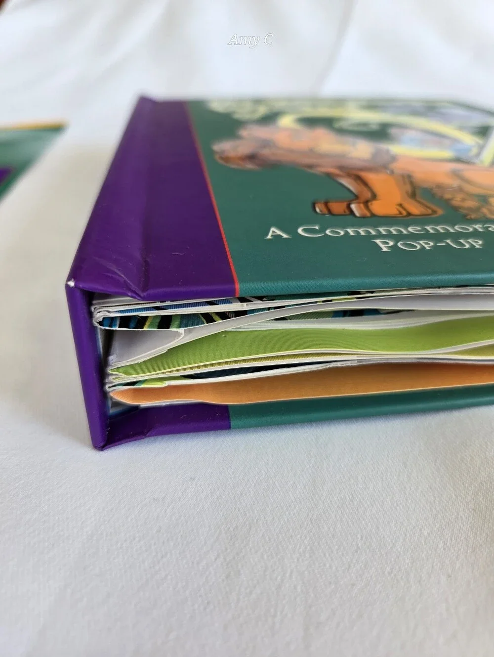 The Wonderful Wizard of Oz Pop-Up Book